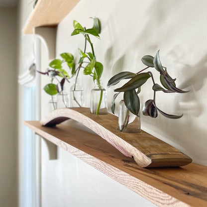 Wooden Arch Décor - Wine Barrel Stave - Staving Artist Woodwork